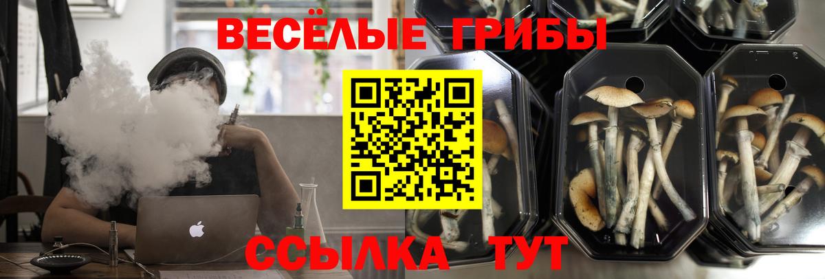 Псилоцибиновые грибы мицелий  Галлюциногенные грибы ЛСД  Вход с VPN  Ростов-на-Дону 
